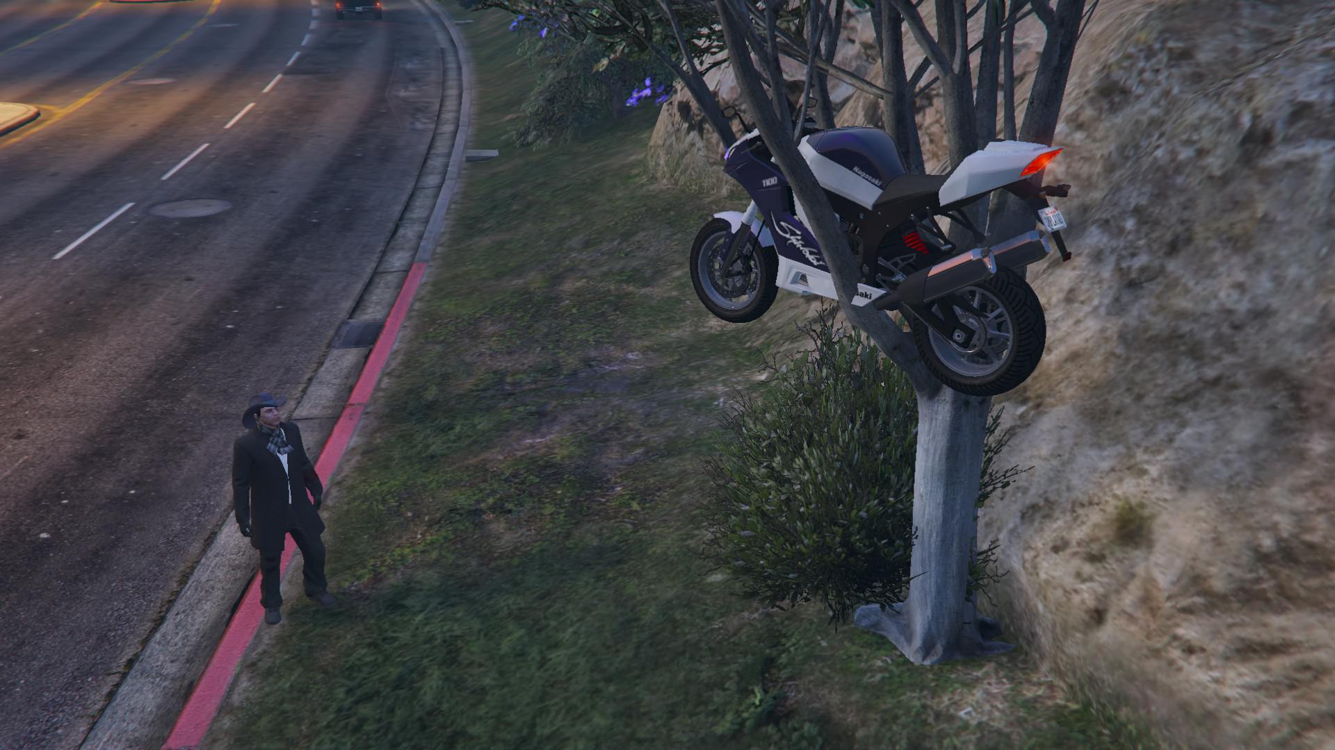 The new Nagasaki Shinobi stalks me on its natural place of finding 2