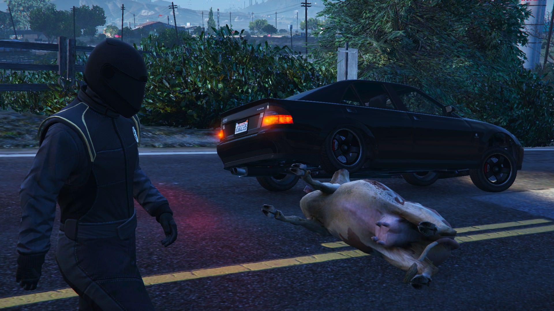 The tamed racing animal on the streets hits a snag with a tamed farming animal on the streets 4