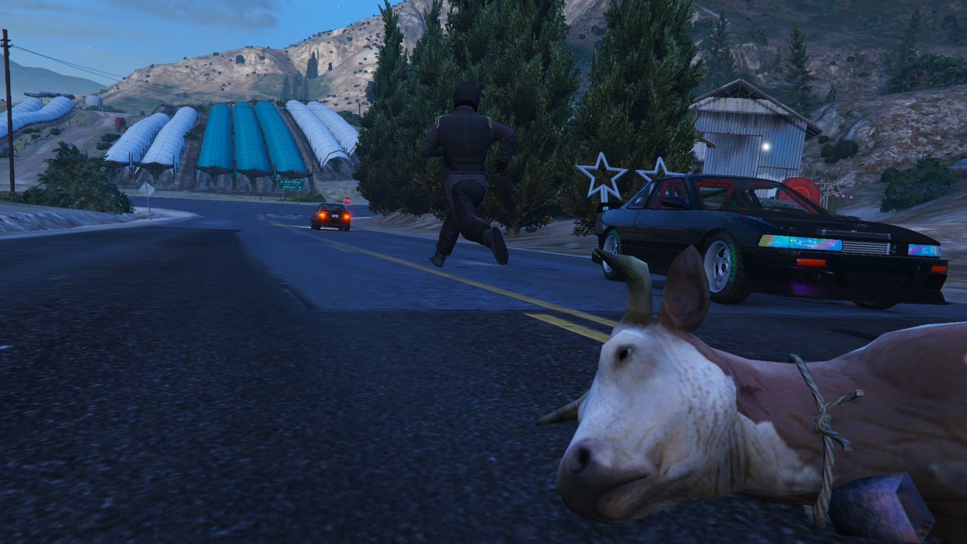 The tamed racing animal on the streets hits a snag with a tamed farming animal on the streets 6