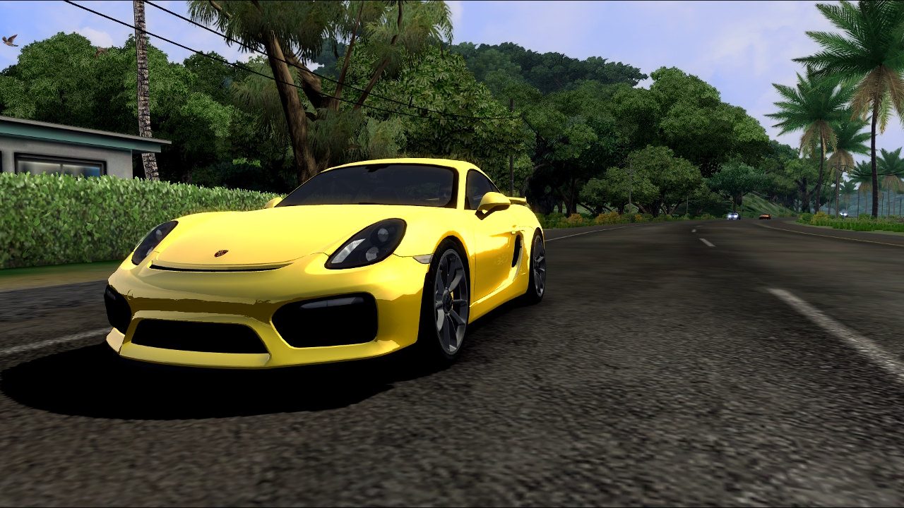 There's more Porsches here than any other game.. (sans Porsche Unleashed), I mean, there's a GT1, 2 GT2s, more GT3s, and a GT4