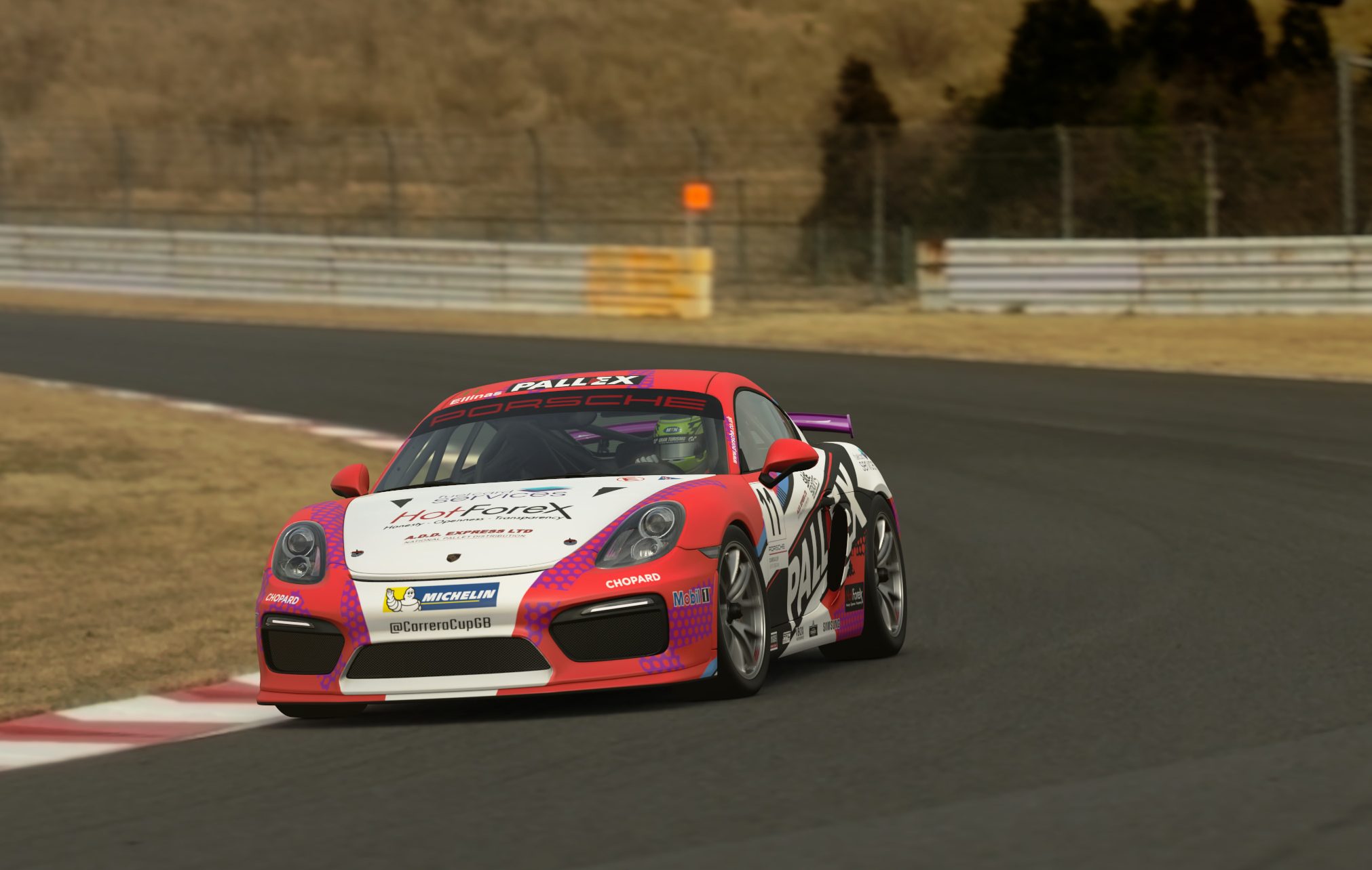 Tio Ellinas SlideSports Porsche Carrera Cup 2018 (3)