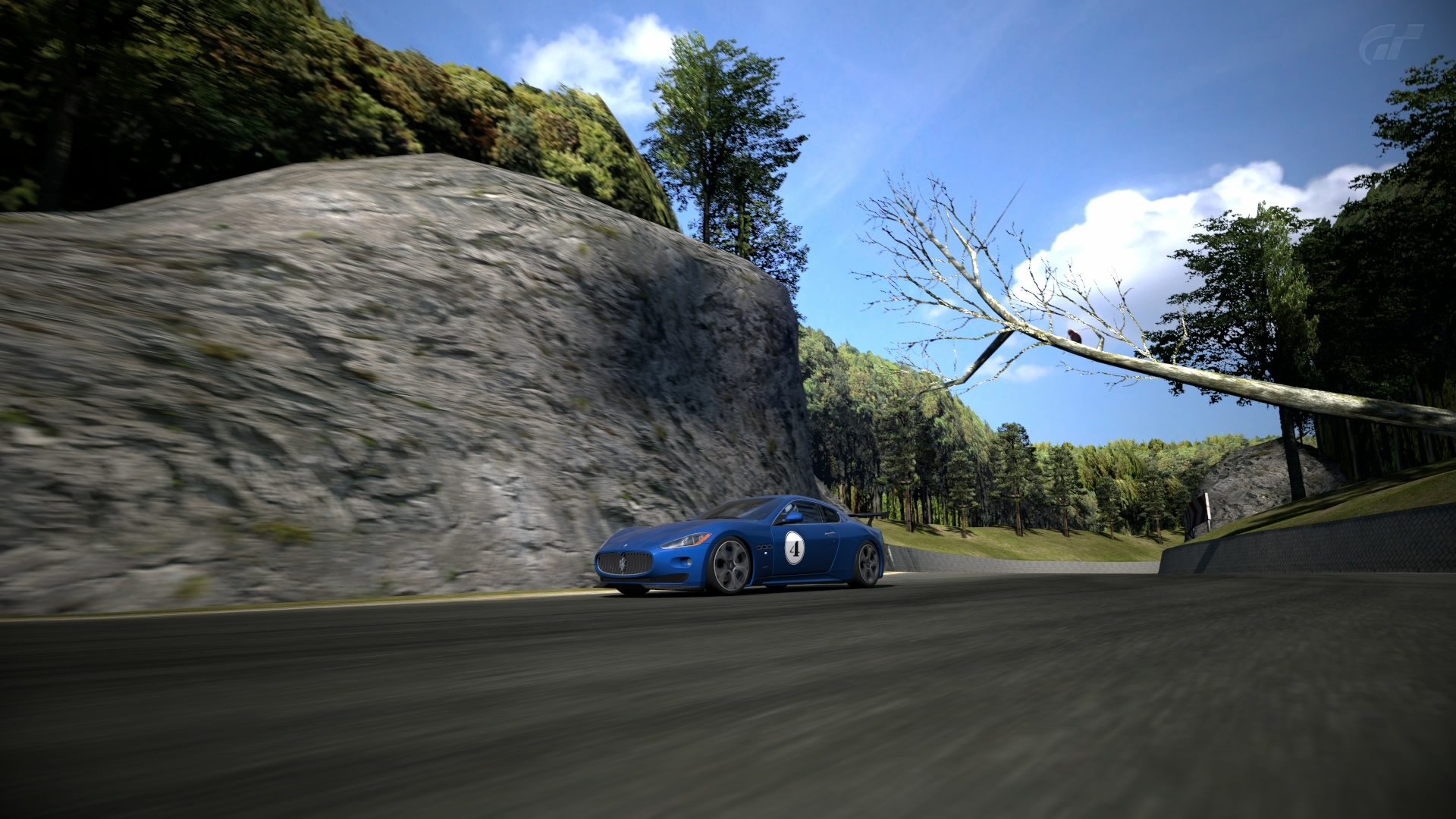 Trial Mountain Circuit_6.jpg