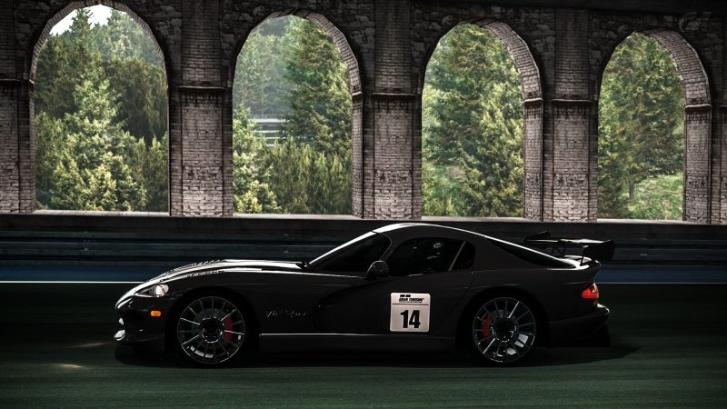 Viper 20.jpg