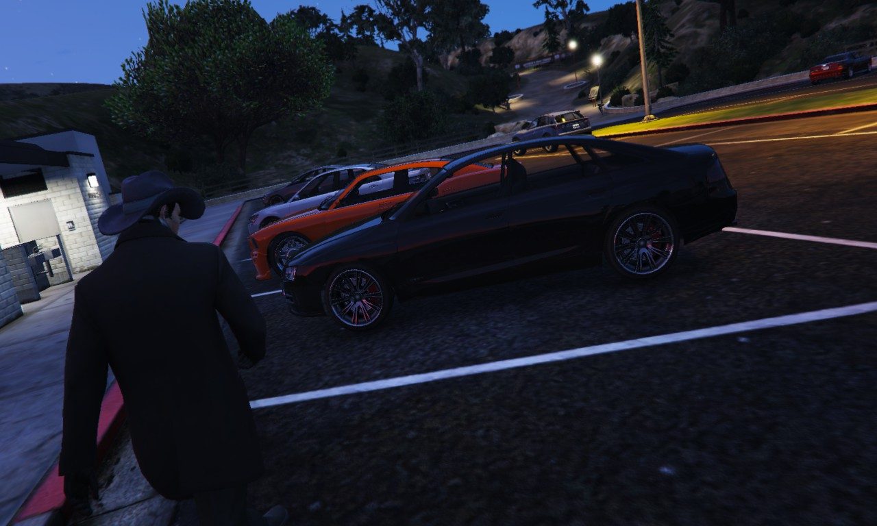 Wild Tailgater 1