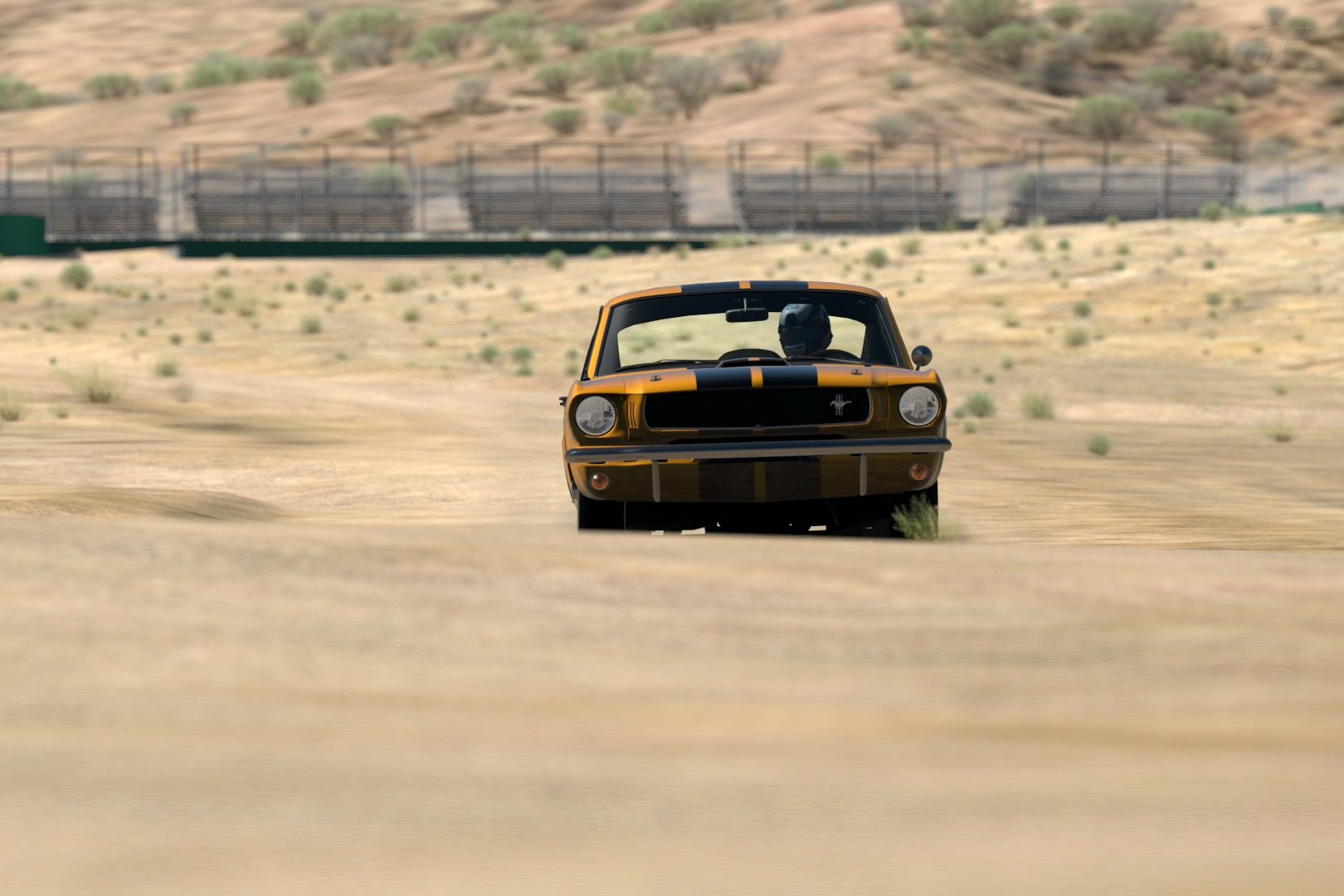 Willow Springs  - Shelby 350 5.jpg