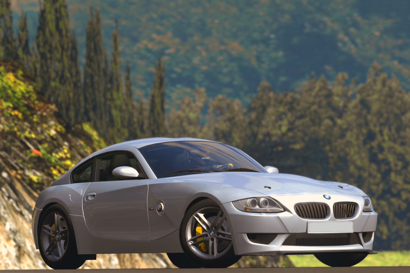 Z4 2.jpg
