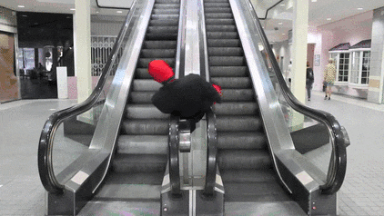 RIeM2.gif