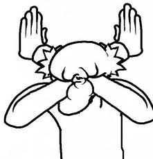 Double_mega_facepalm.jpg