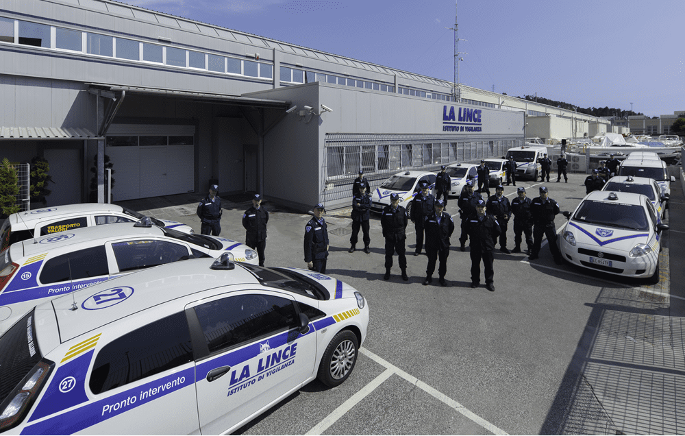 linceesterni2.png