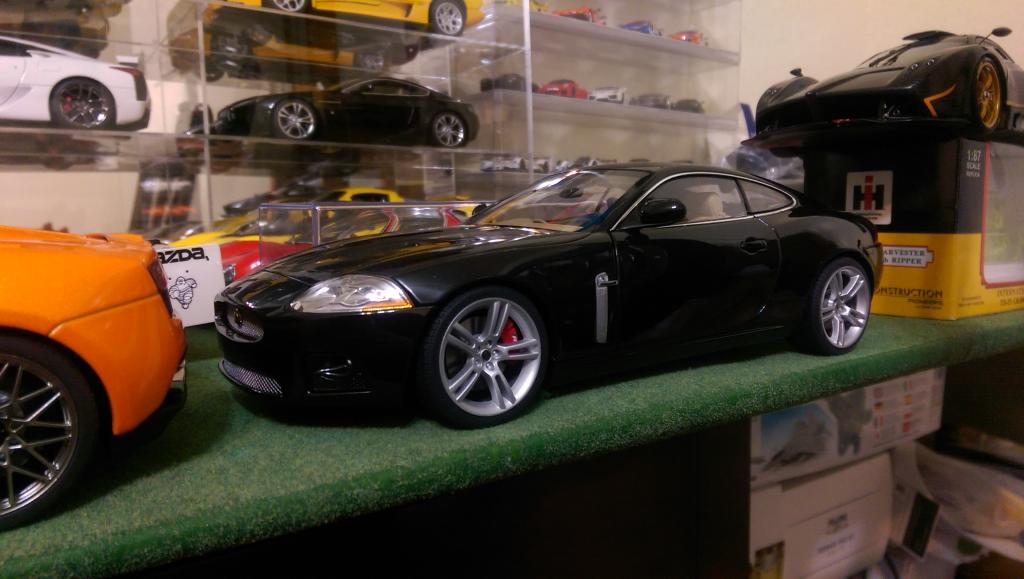IMAG0176.jpg