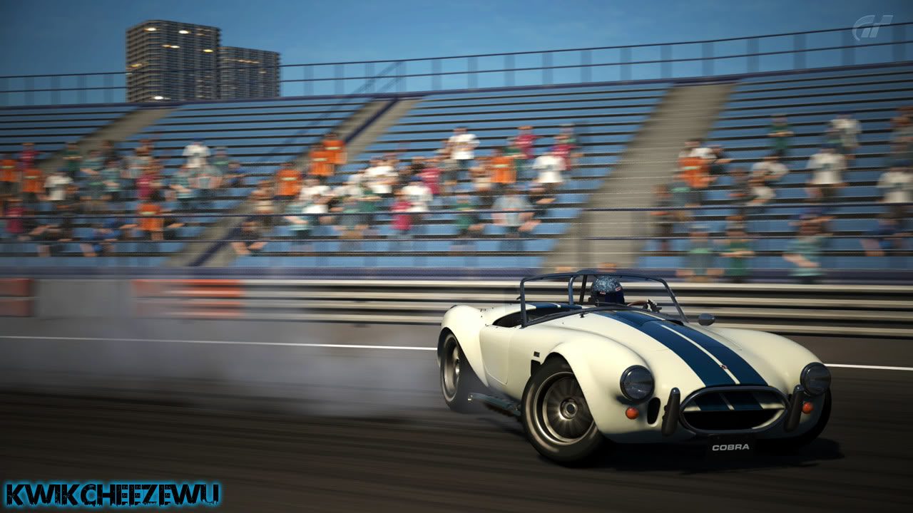 ShelbyCobra_02.jpg