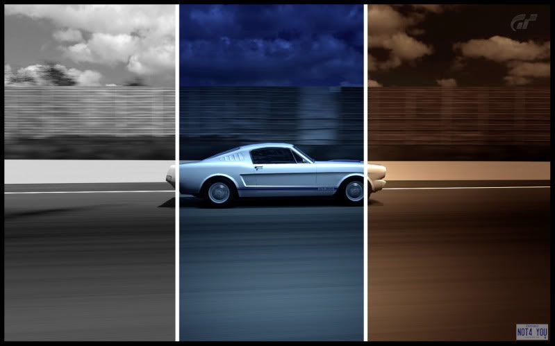 gt350collage.jpg
