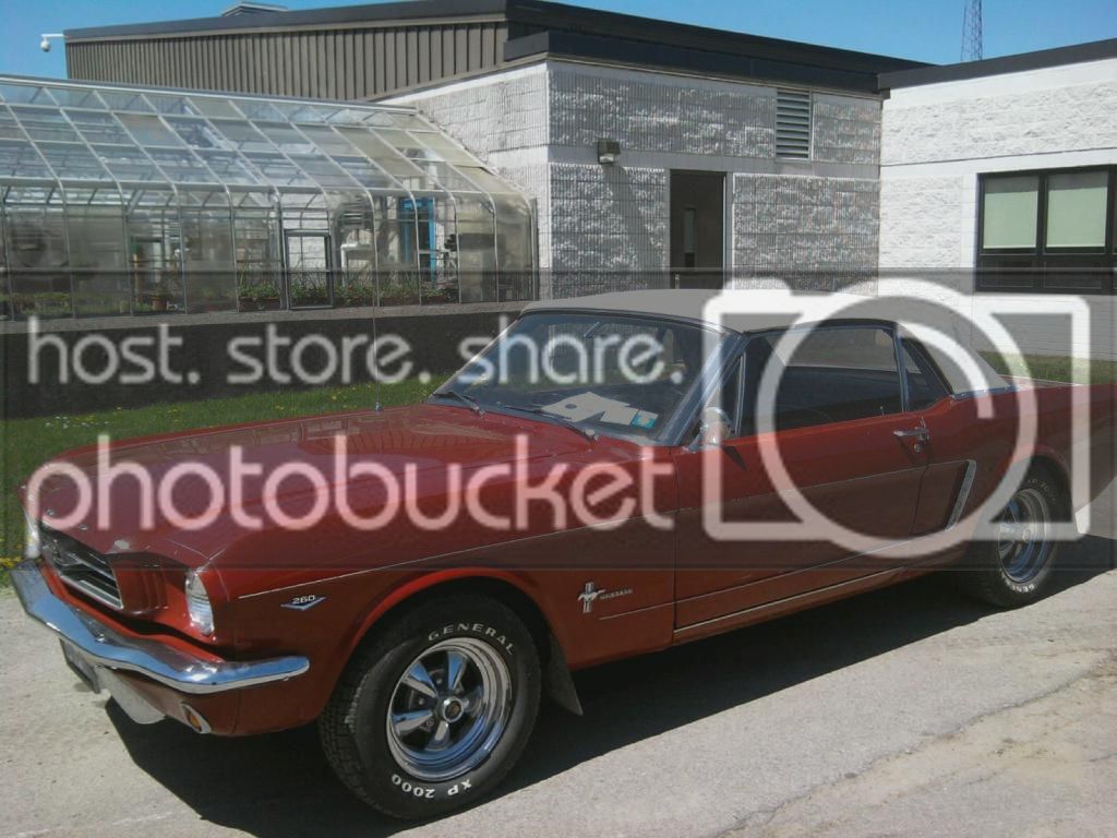 mms_picture3_zpsd6892d80.jpg