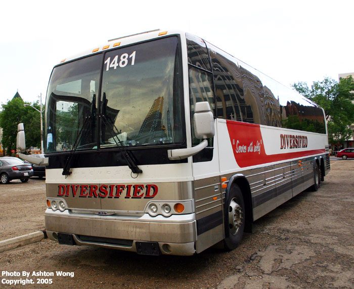 diversified_1481.jpg