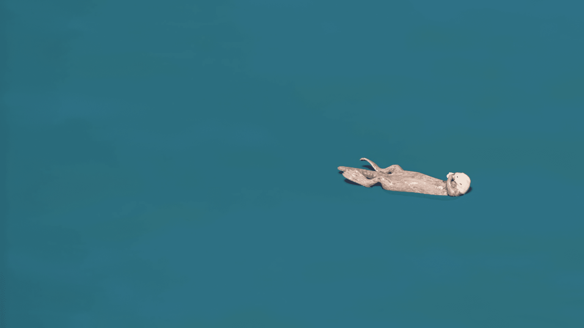 OVOwldC.png