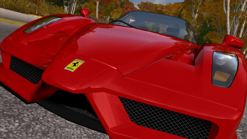 enzo_02.jpg