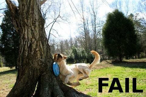fail-2.jpg