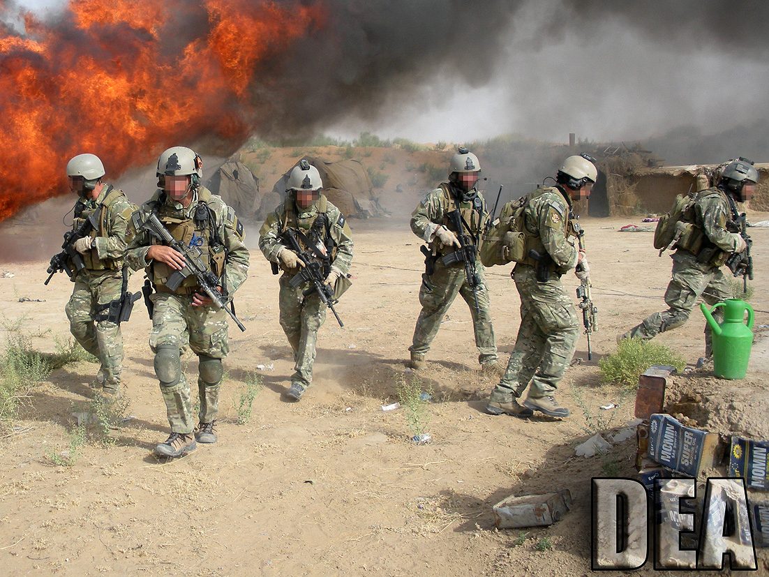 dea13s.jpg