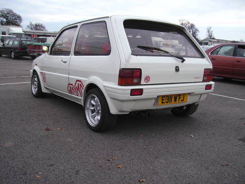 872034.jpg