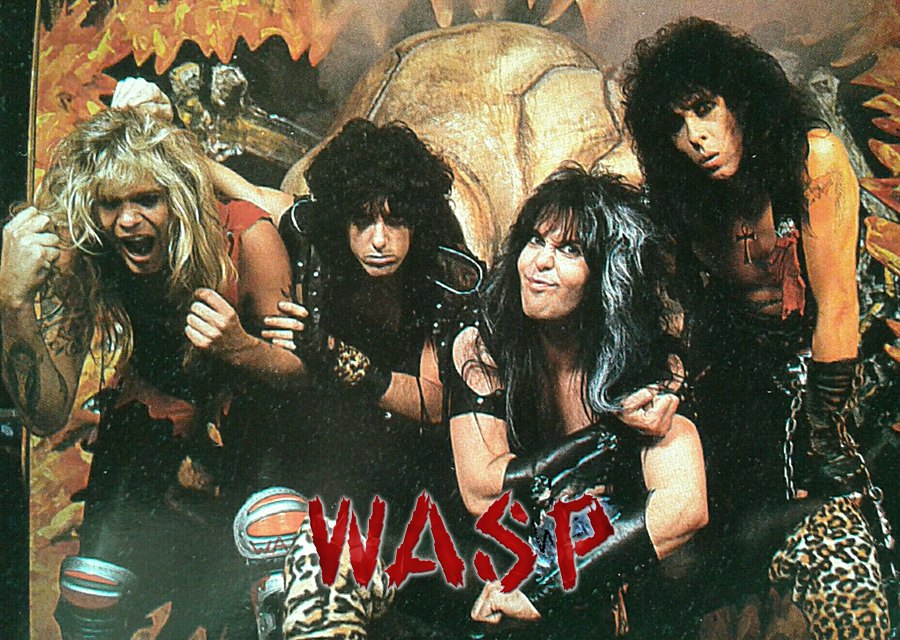 wasp-band-cover-logo.jpg