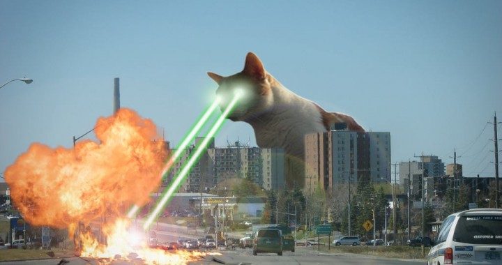 giant-laser-cat-sudbury-720x380.jpg