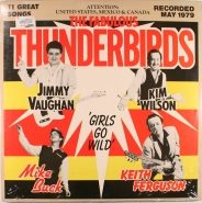 FABTHUNDERBIRDS_GirlsGoWildLP.JPG