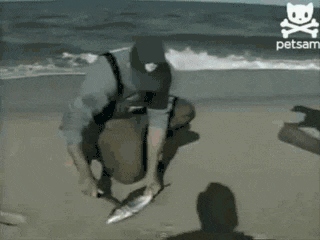 02.gif