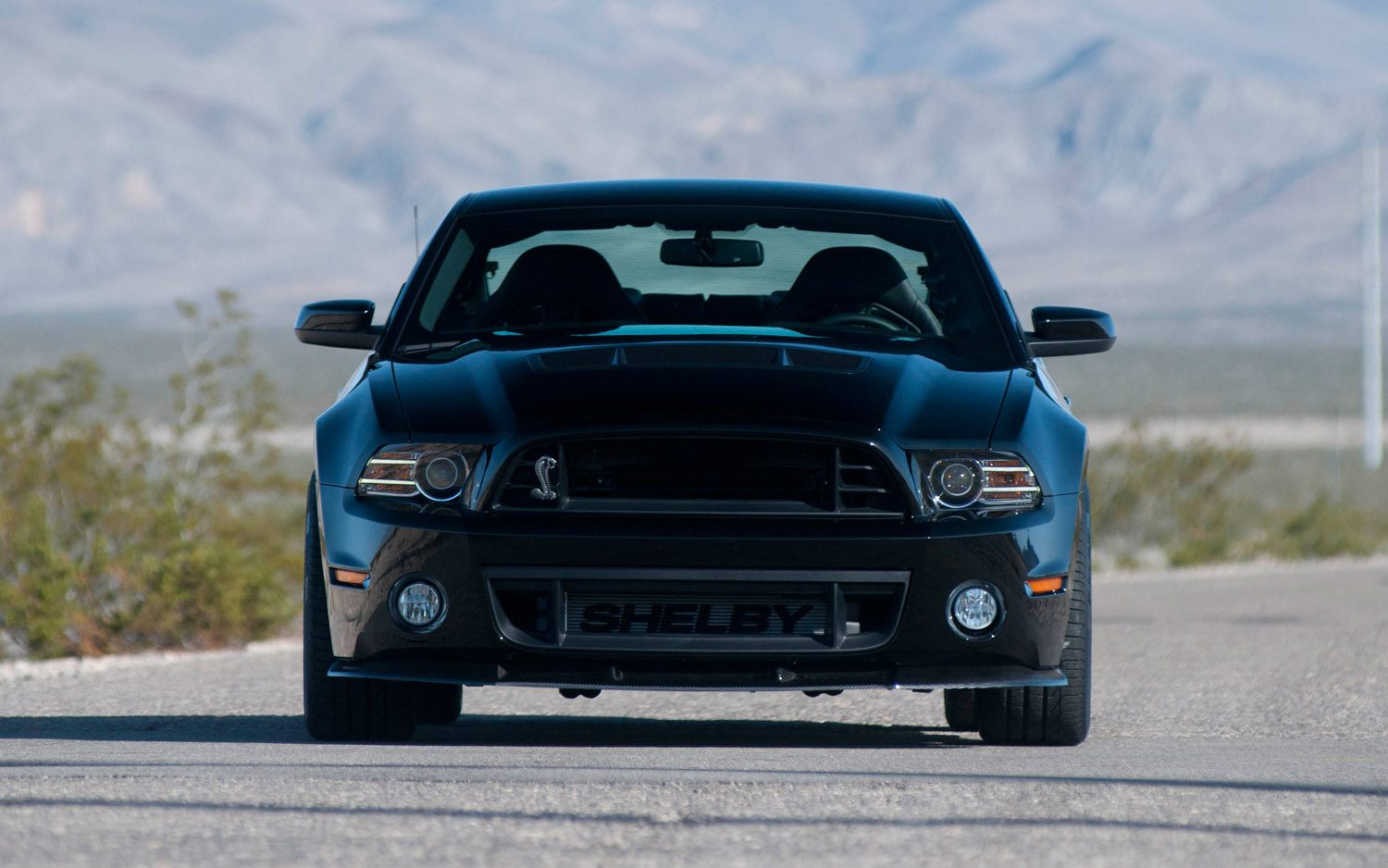 2013-Shelby-1000-front-view.jpg