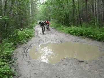 21-daily-gifdump-111.gif