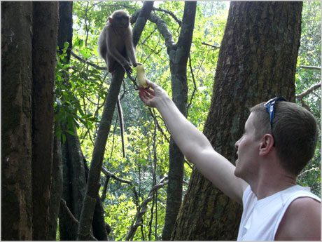 feeding-monkeys-david-airey.jpg
