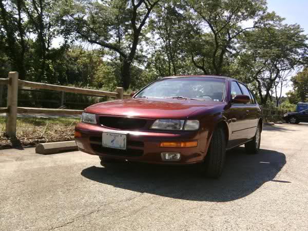 dz9gdv.jpg