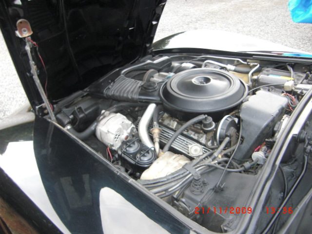 CIMG3584.JPG
