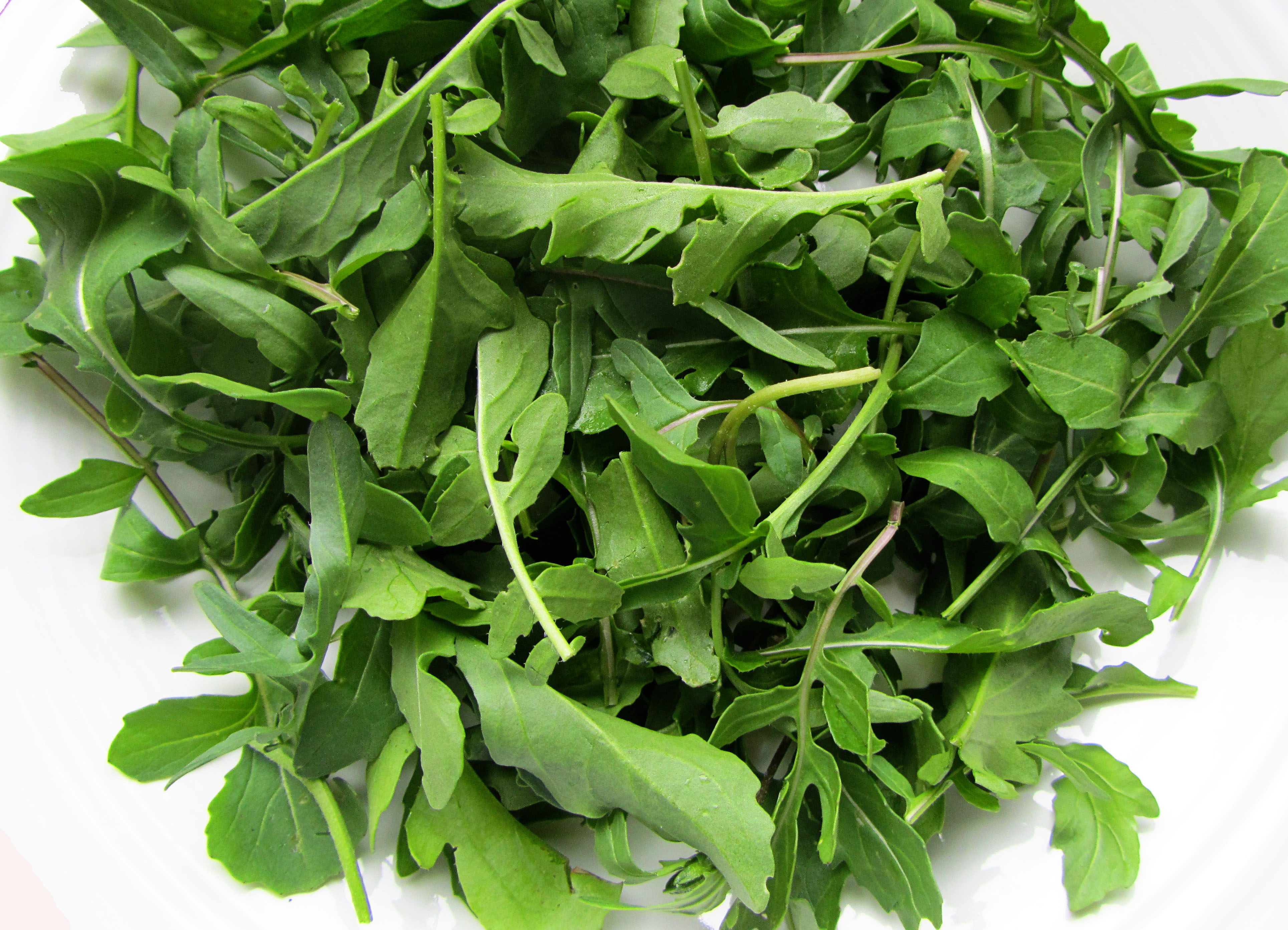 arugula1.jpg
