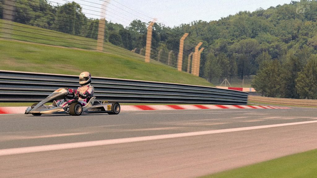 NrburgringNordschleife_10-3.jpg