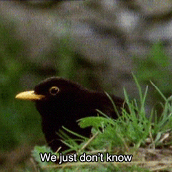 tumblr_inline_n30ca7Mhbe1r2i5xy.gif