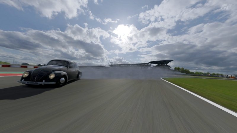 beetle_3.jpg