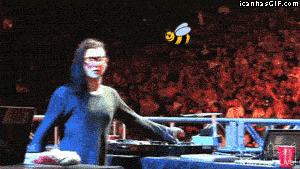 skirllex-bee-gif.gif