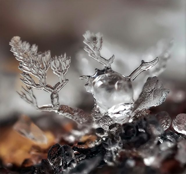snow-4.jpg