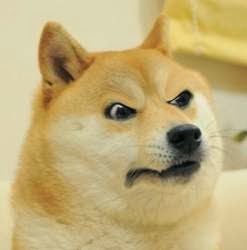 angry-doge.jpg