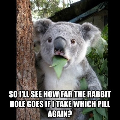 rabbitpill_zpscc169a5c.jpg