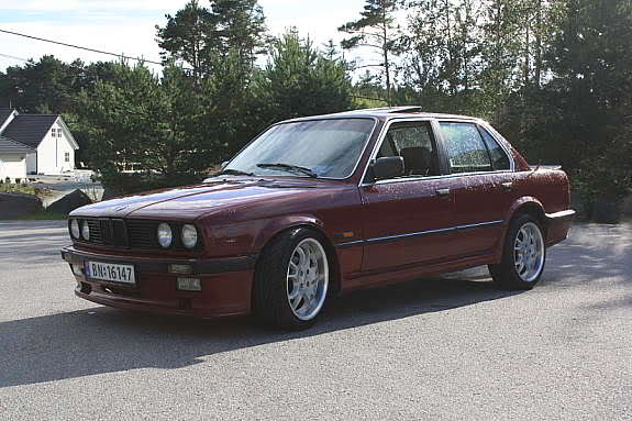 2lsh56c.jpg