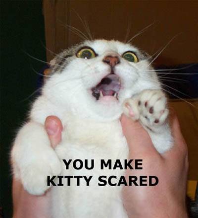 seehere.blogspot.com%20cats%20%2860%29.jpg