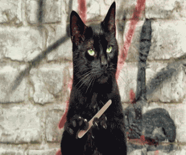 AnimatedGIFs.gif