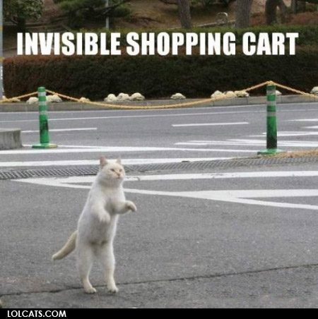lolcatsdotcomnmc3vgojz5gg5vxt.jpg