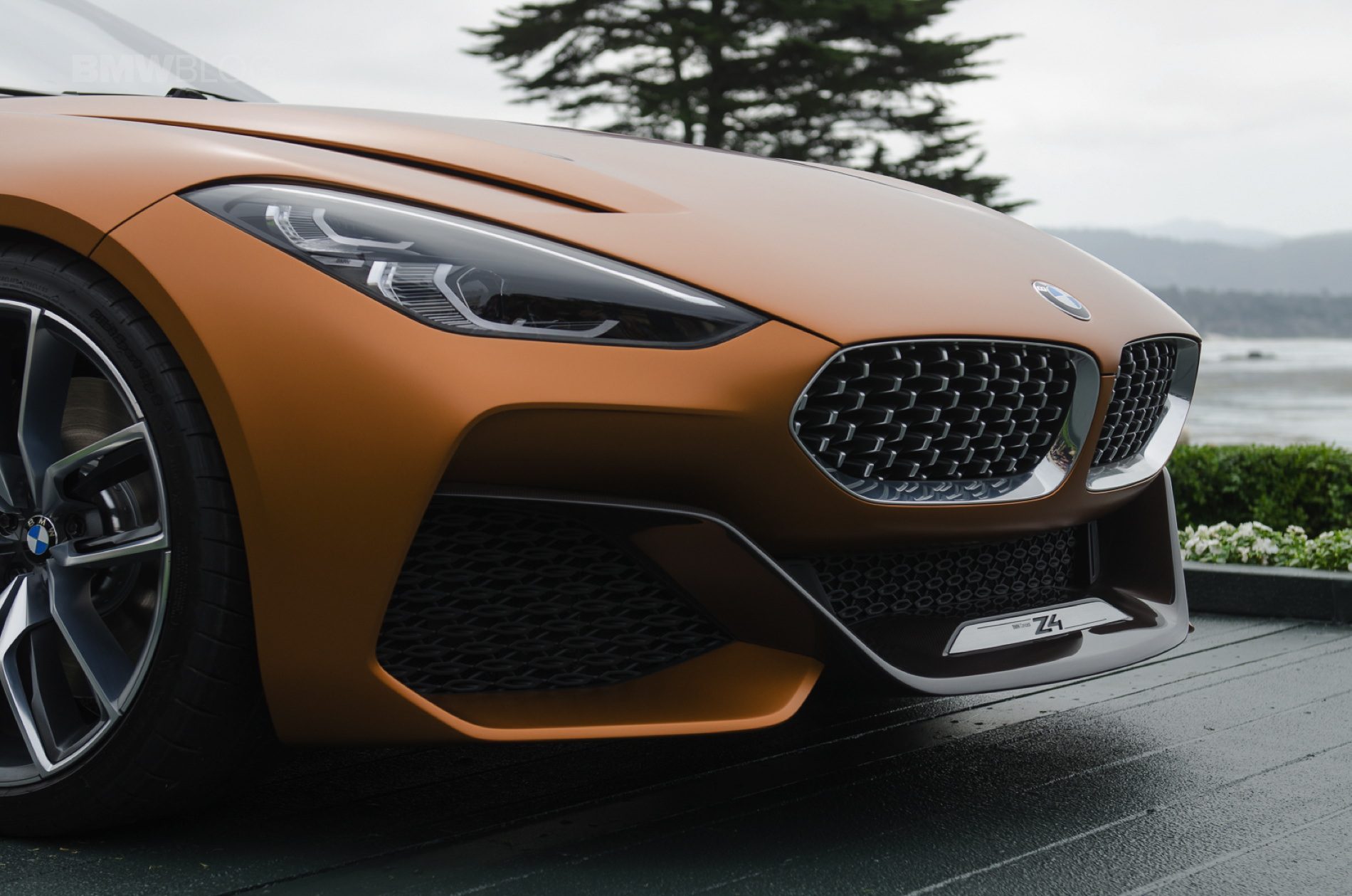 BMW-Z4-Concept-Pebble-Beach-03.jpg