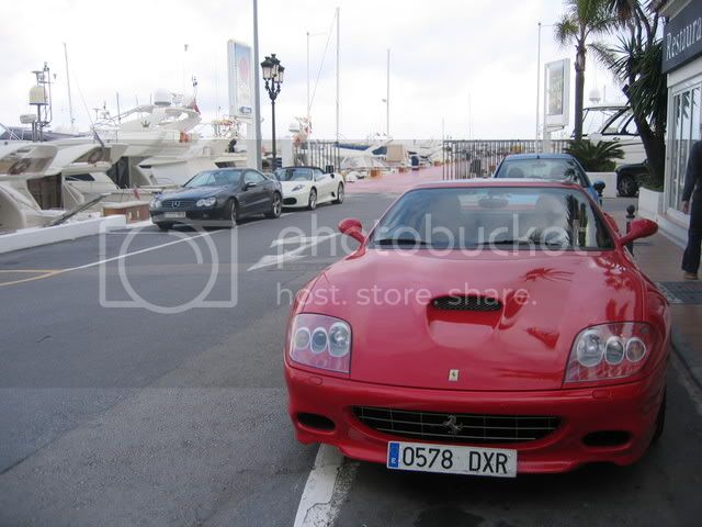 PuertoBanus2008035.jpg