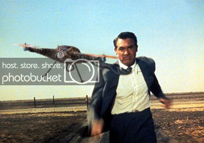 northbynorthwest.jpg