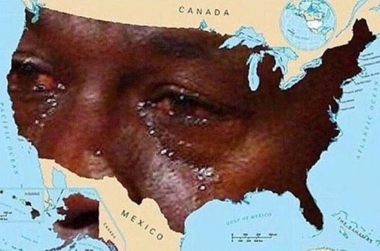 tumblr_ogckztn6QD1qez53so1_540.jpg