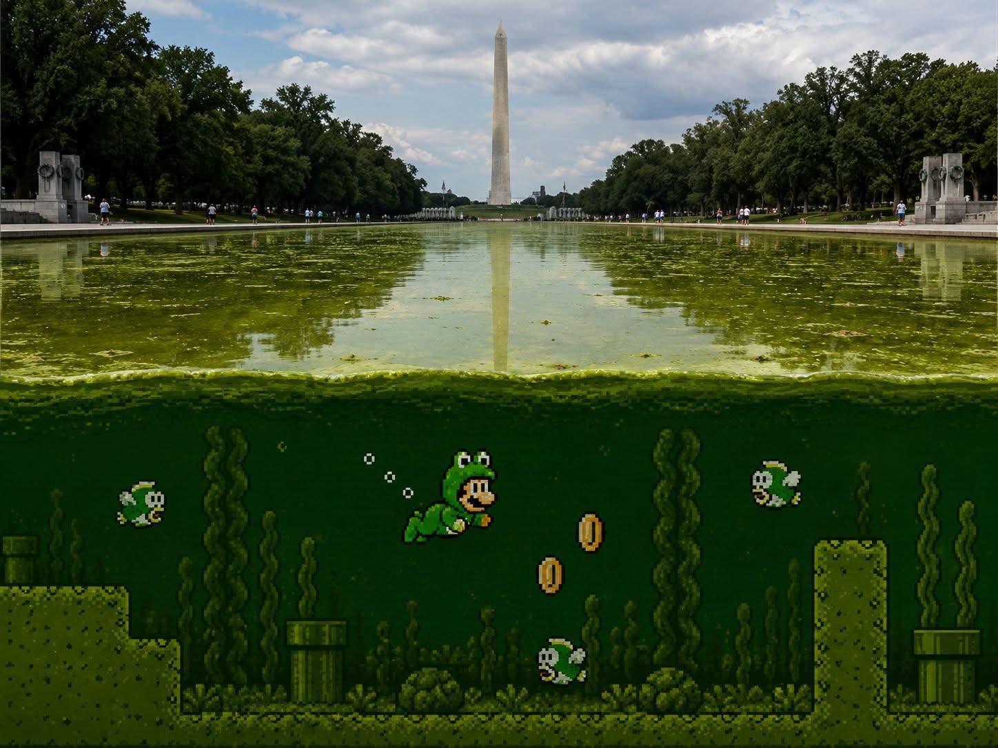reflecting-pool-mario-frog.jpg