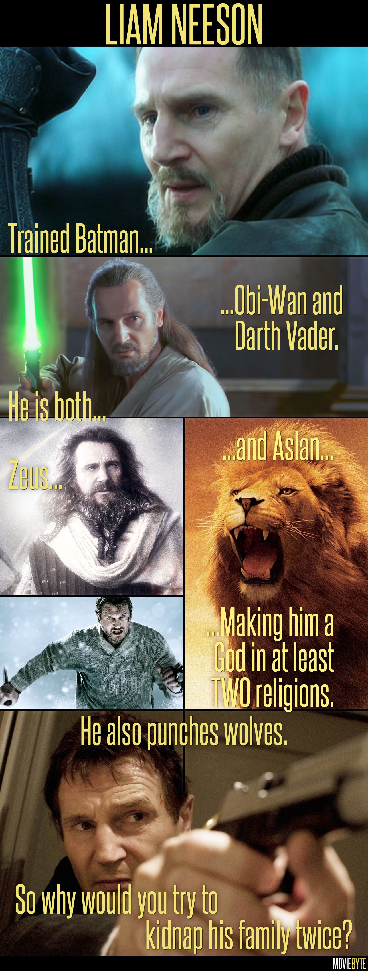Liam_Neeson-Meme.jpg